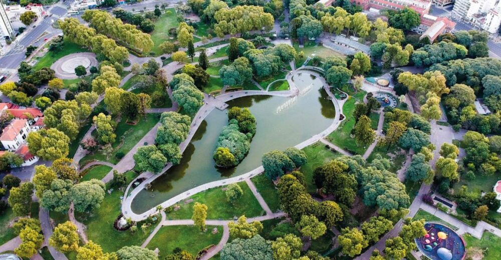 Image of the apartment